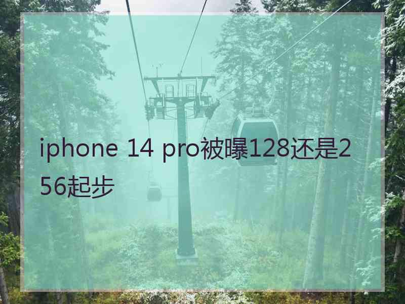 iphone 14 pro被曝128还是256起步