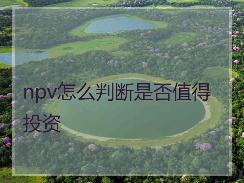 npv怎么判断是否值得投资