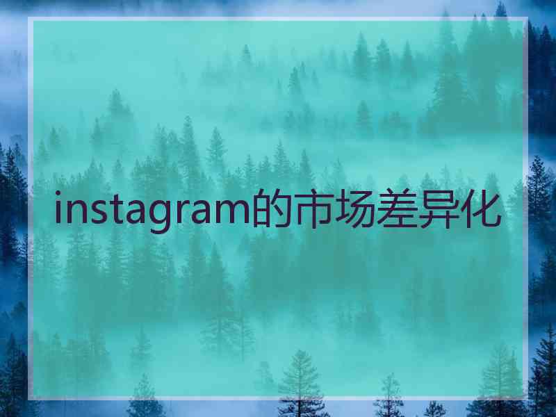 instagram的市场差异化