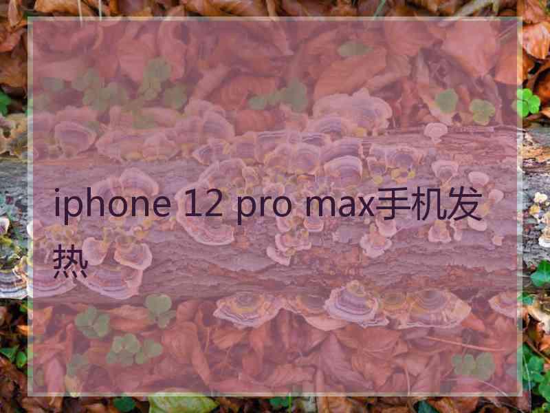 iphone 12 pro max手机发热