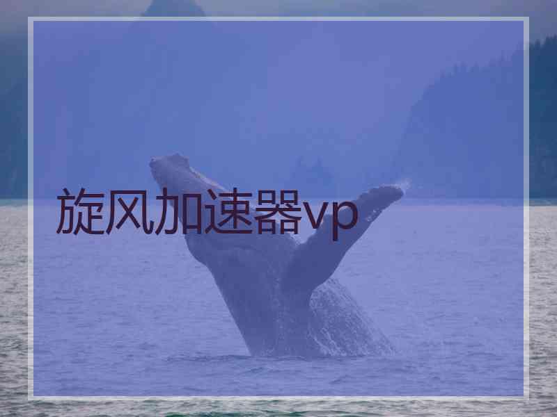 旋风加速器vp