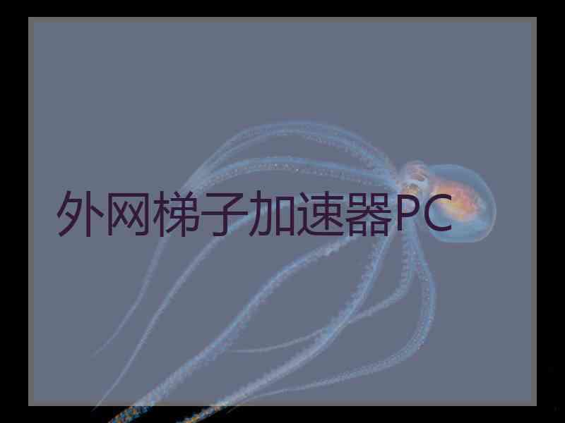 外网梯子加速器PC