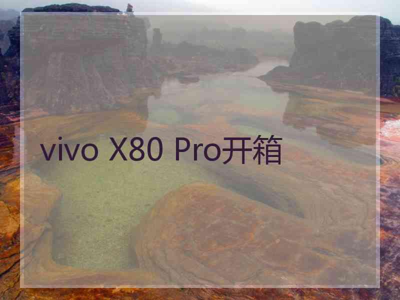 vivo X80 Pro开箱