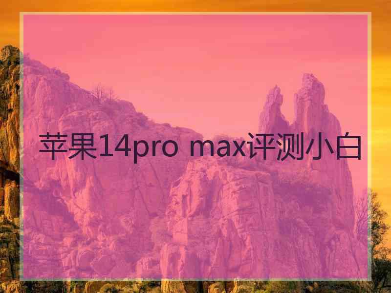 苹果14pro max评测小白