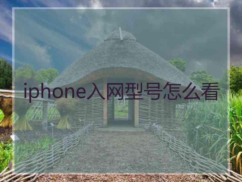 iphone入网型号怎么看