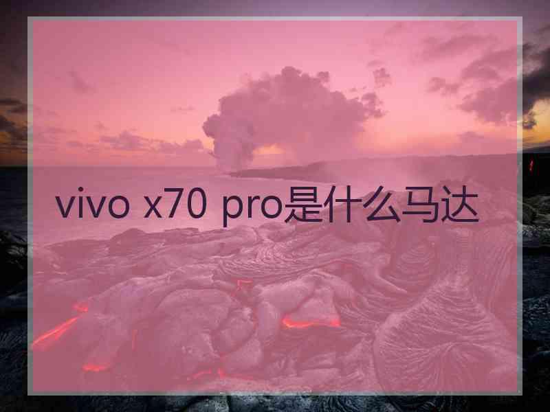 vivo x70 pro是什么马达