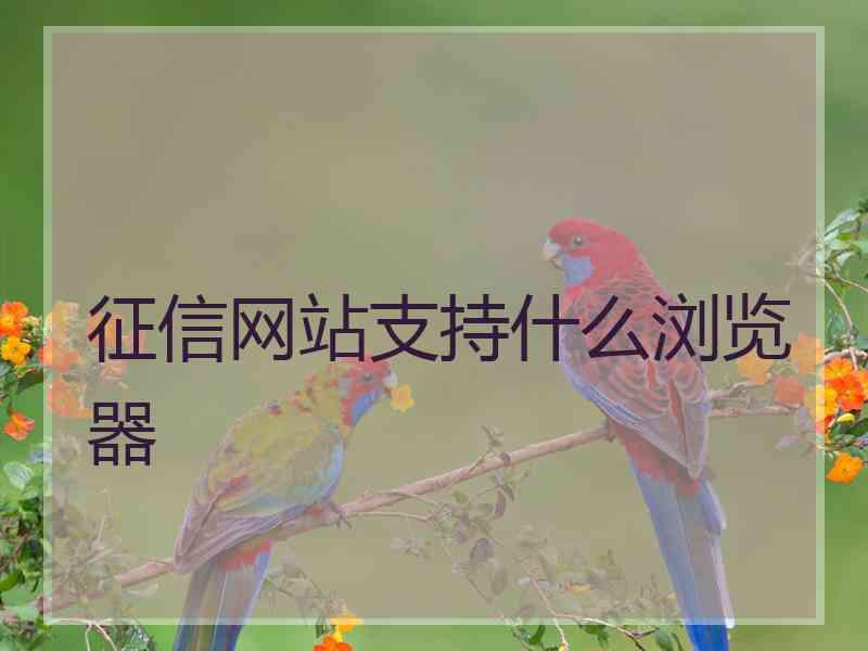 征信网站支持什么浏览器