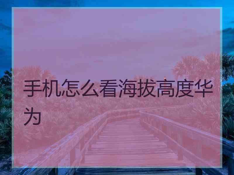 手机怎么看海拔高度华为