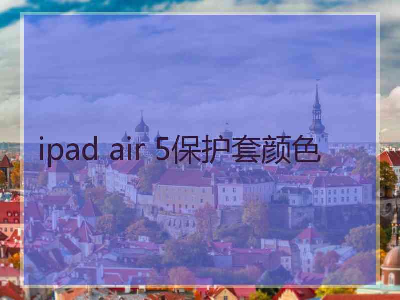 ipad air 5保护套颜色