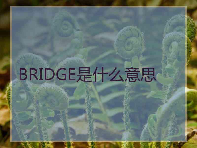 BRIDGE是什么意思