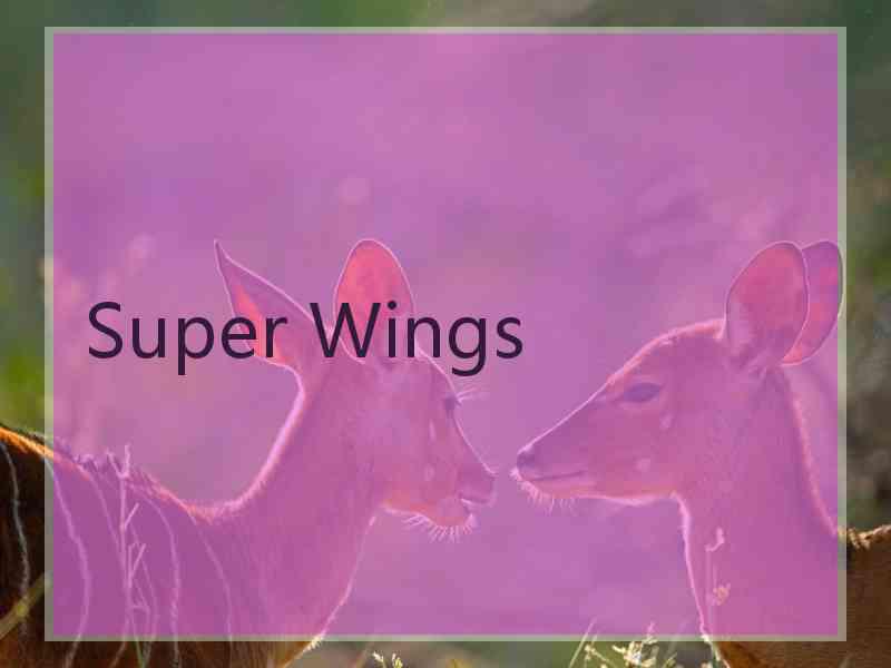 Super Wings