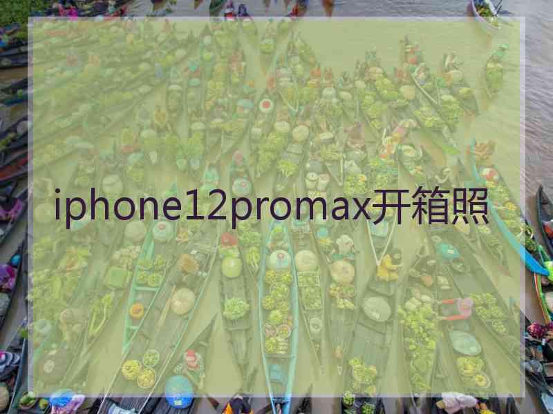 iphone12promax开箱照