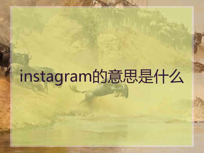 instagram的意思是什么