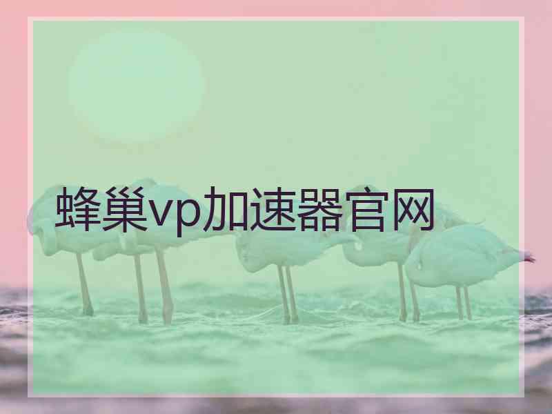 蜂巢vp加速器官网