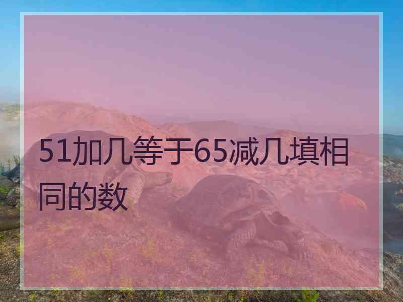 51加几等于65减几填相同的数