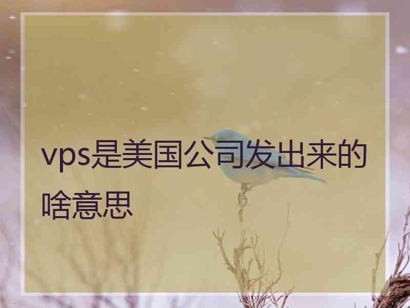 vps是美国公司发出来的啥意思