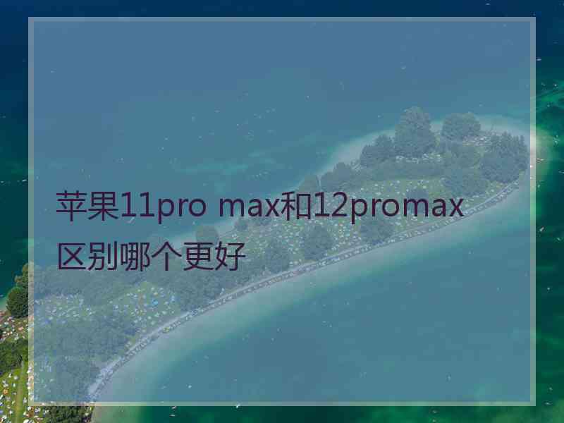 苹果11pro max和12promax区别哪个更好