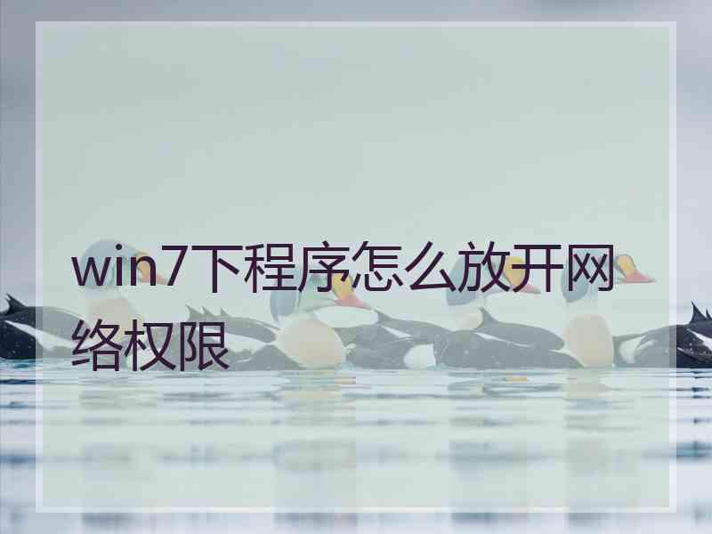 win7下程序怎么放开网络权限