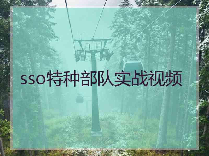 sso特种部队实战视频