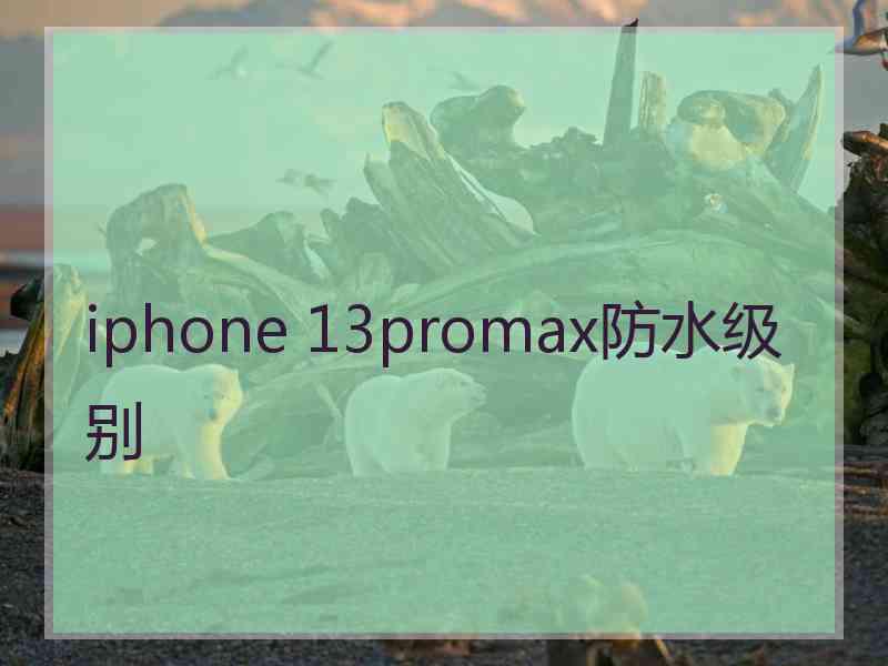 iphone 13promax防水级别