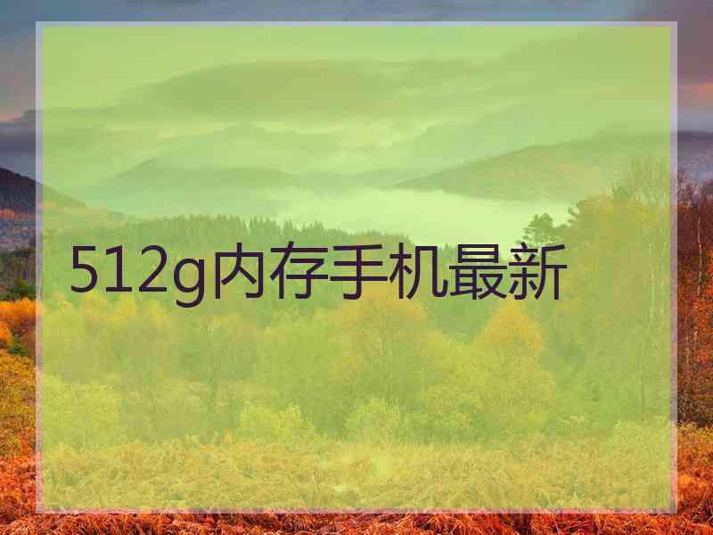 512g内存手机最新