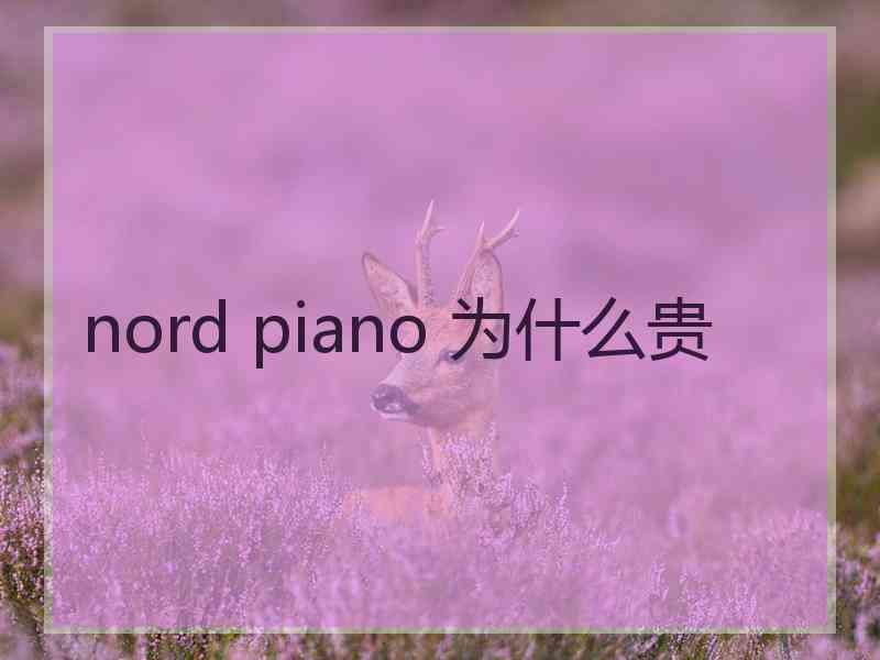 nord piano 为什么贵