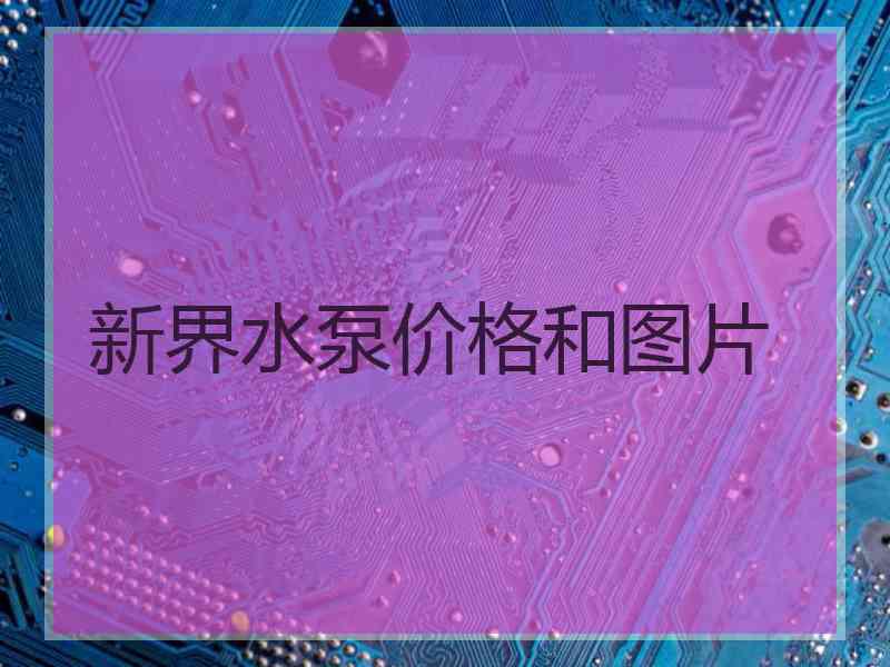 新界水泵价格和图片