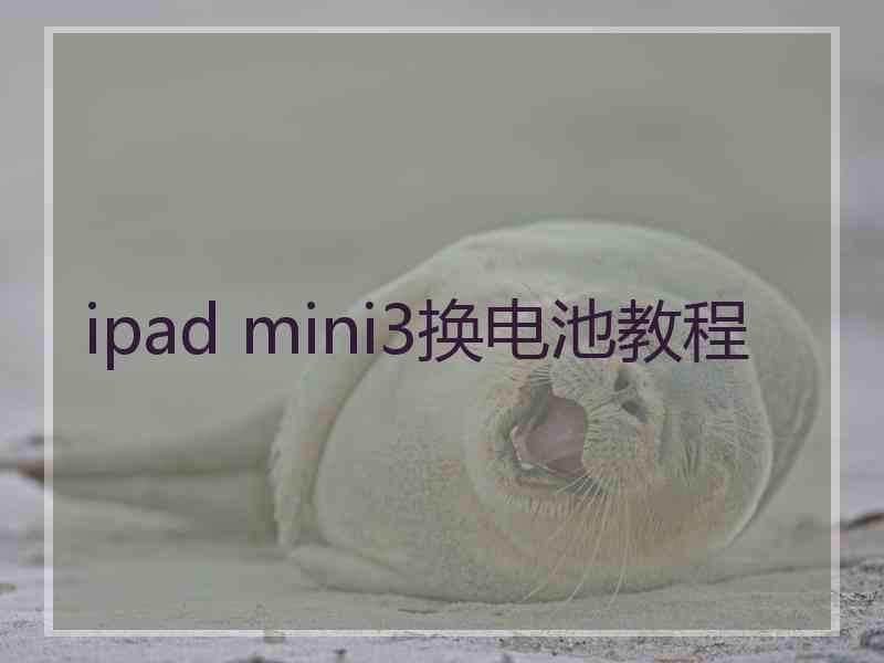 ipad mini3换电池教程