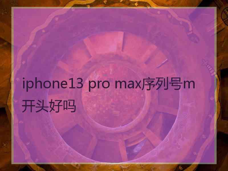 iphone13 pro max序列号m开头好吗