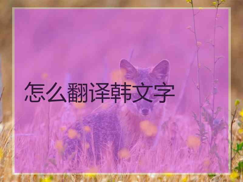 怎么翻译韩文字