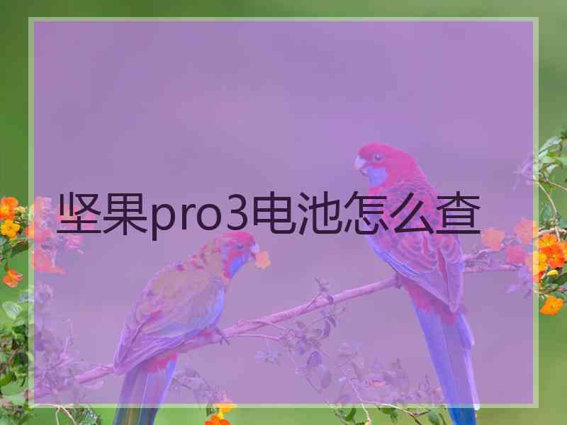 坚果pro3电池怎么查