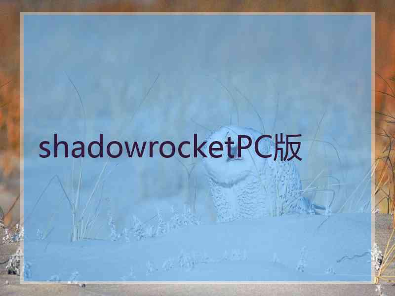 shadowrocketPC版