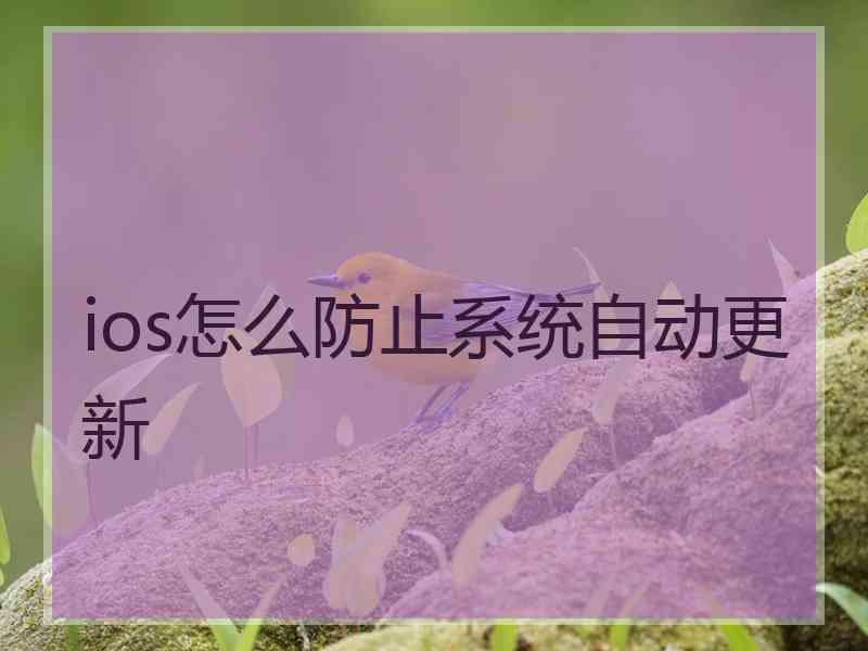 ios怎么防止系统自动更新