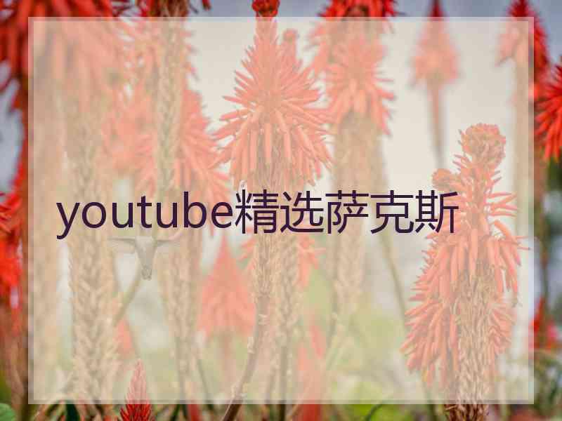 youtube精选萨克斯