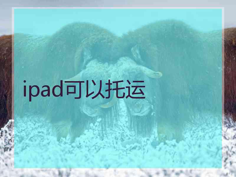 ipad可以托运