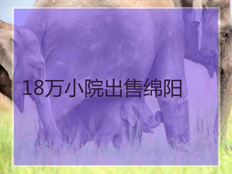 18万小院出售绵阳