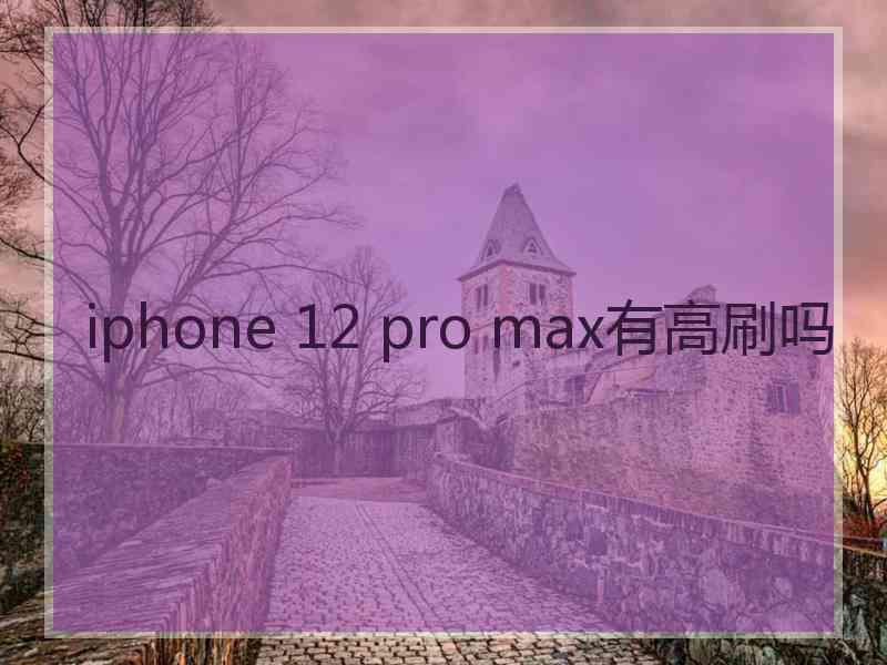 iphone 12 pro max有高刷吗