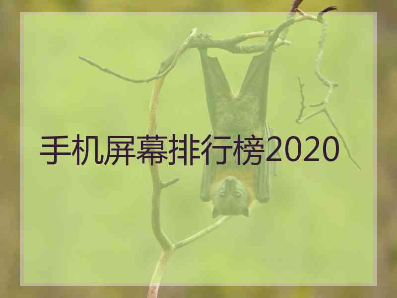 手机屏幕排行榜2020