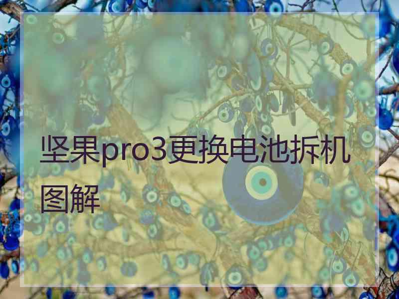 坚果pro3更换电池拆机图解