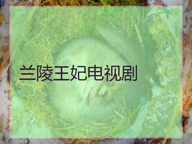 兰陵王妃电视剧