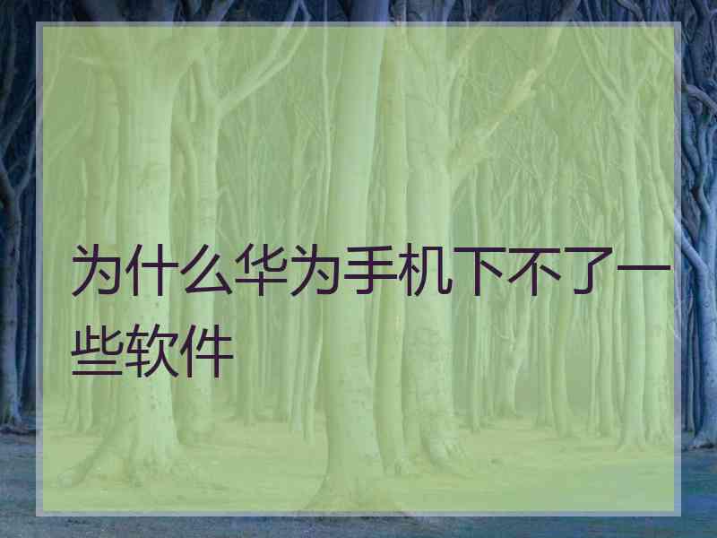 为什么华为手机下不了一些软件