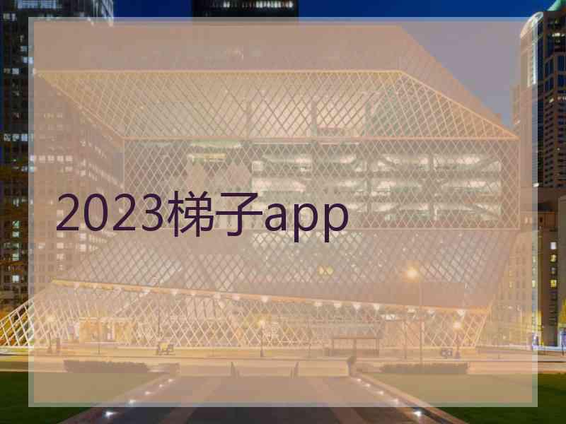 2023梯子app