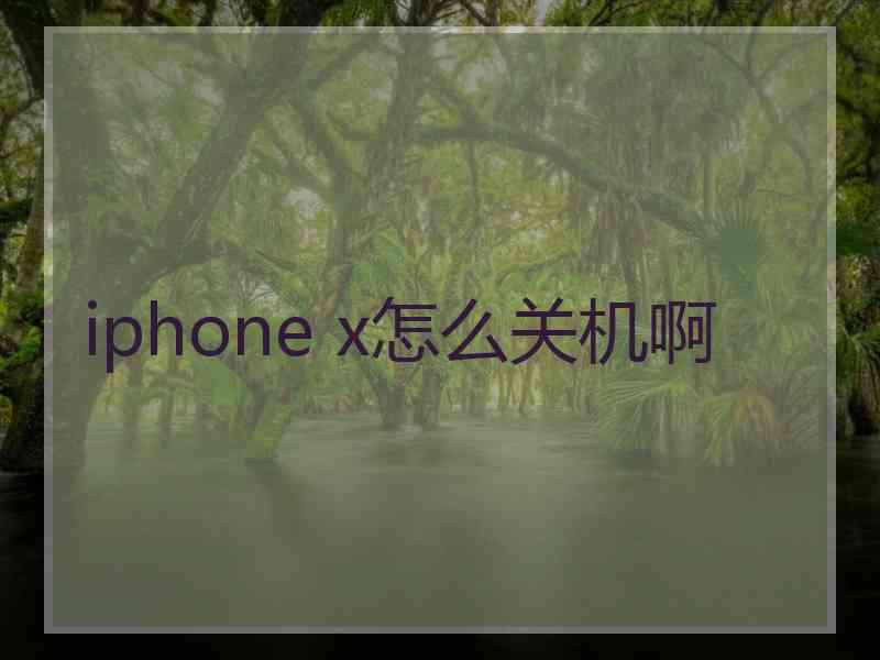 iphone x怎么关机啊