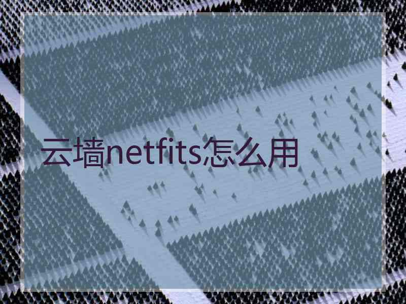 云墙netfits怎么用