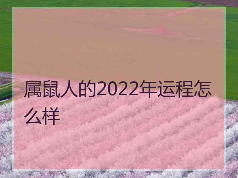 属鼠人的2022年运程怎么样