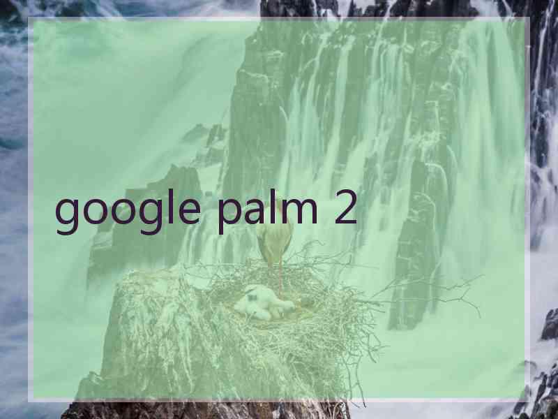 google palm 2