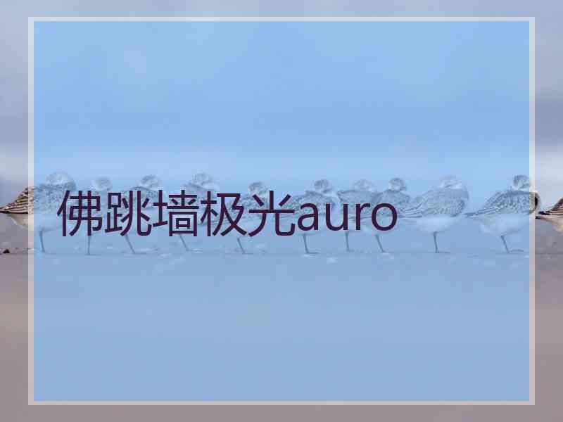 佛跳墙极光auro