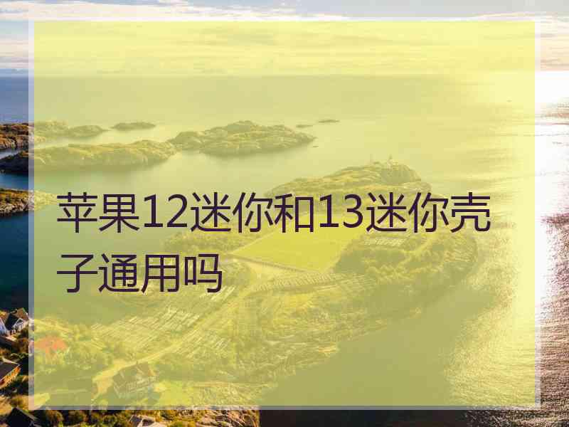 苹果12迷你和13迷你壳子通用吗