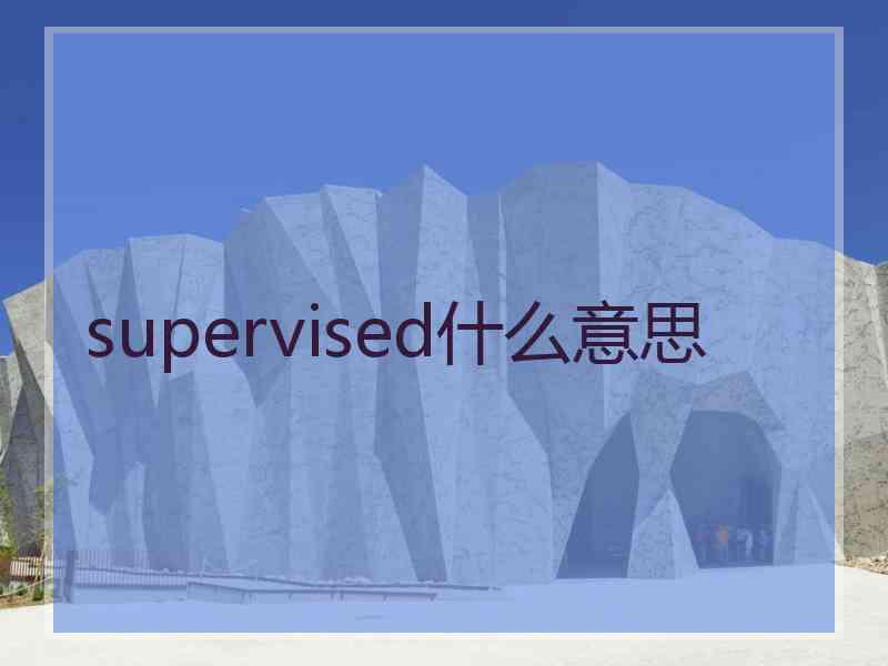 supervised什么意思