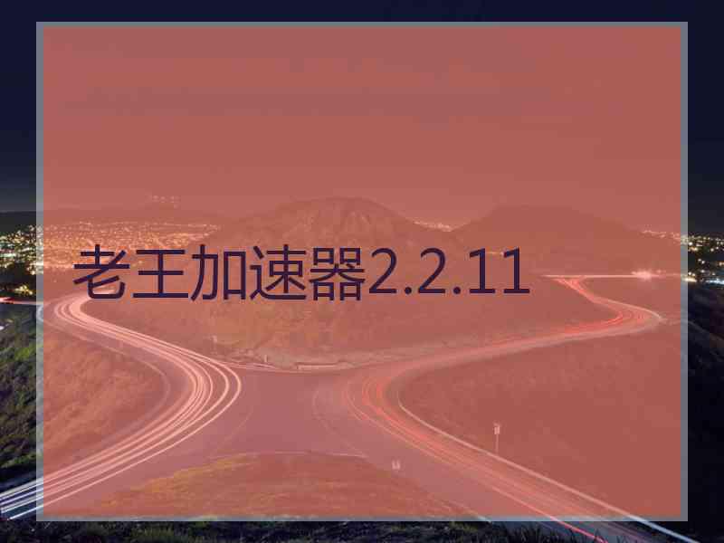 老王加速器2.2.11